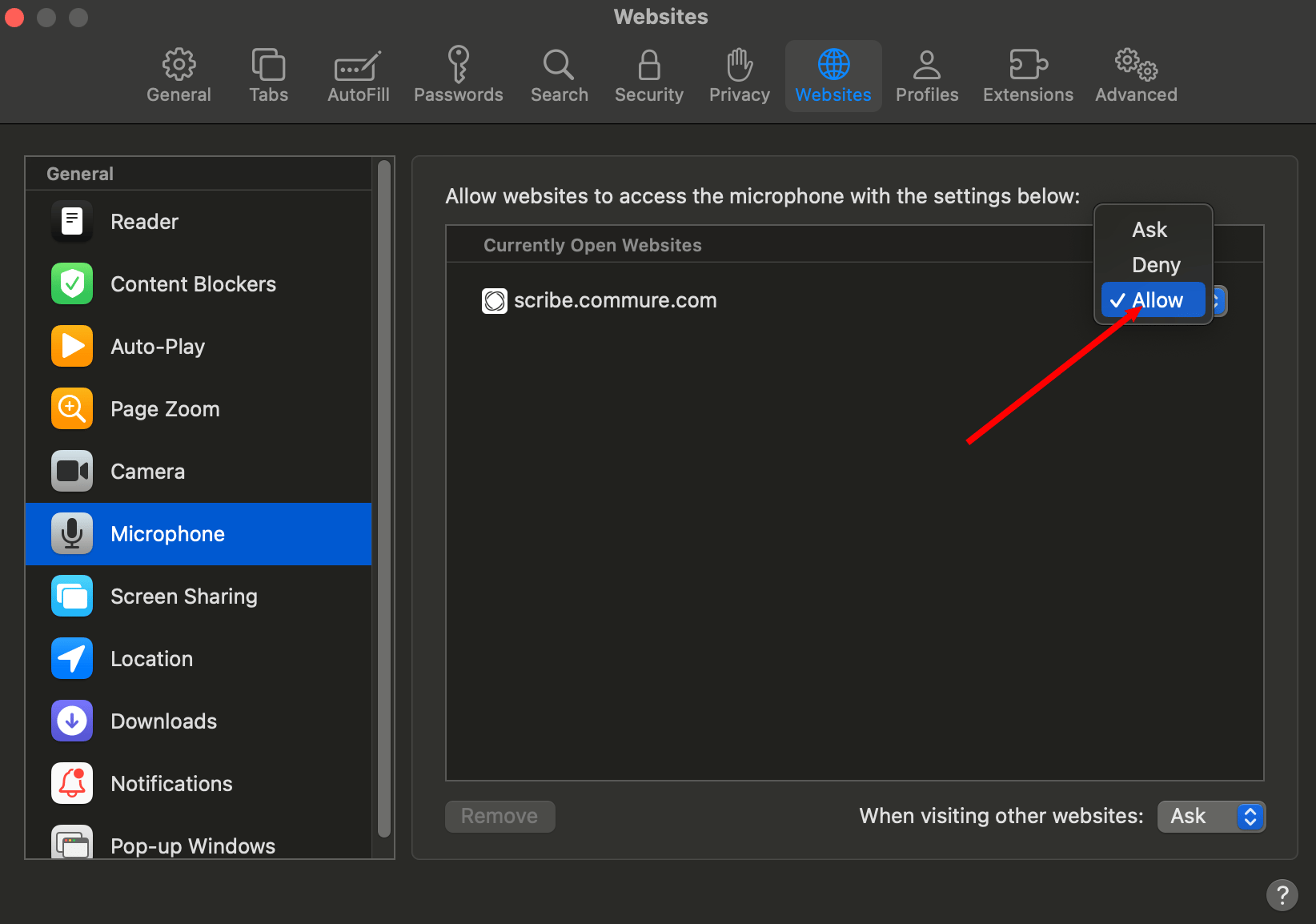 Allow microphone