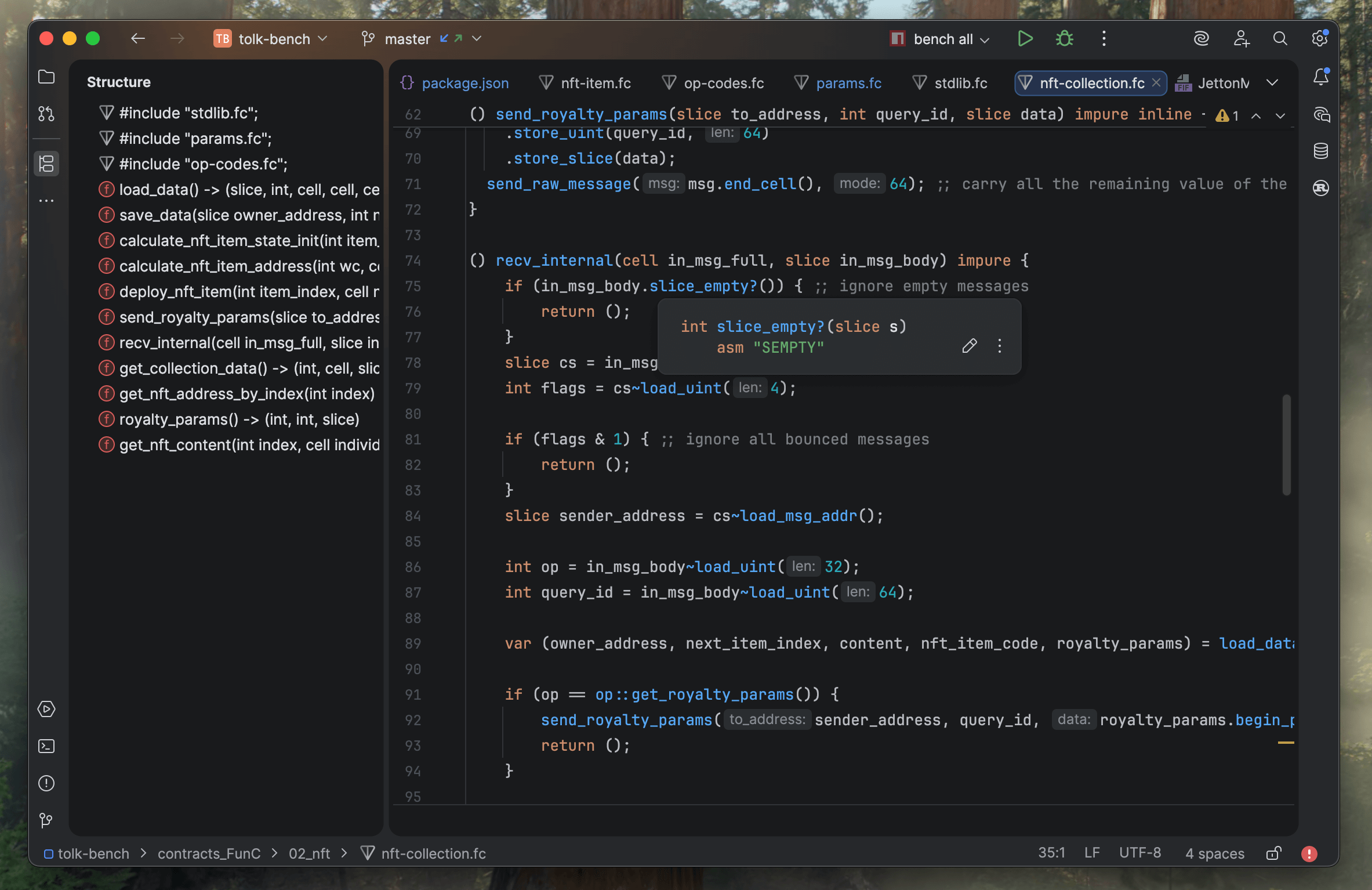 Screenshot of the FunC language support