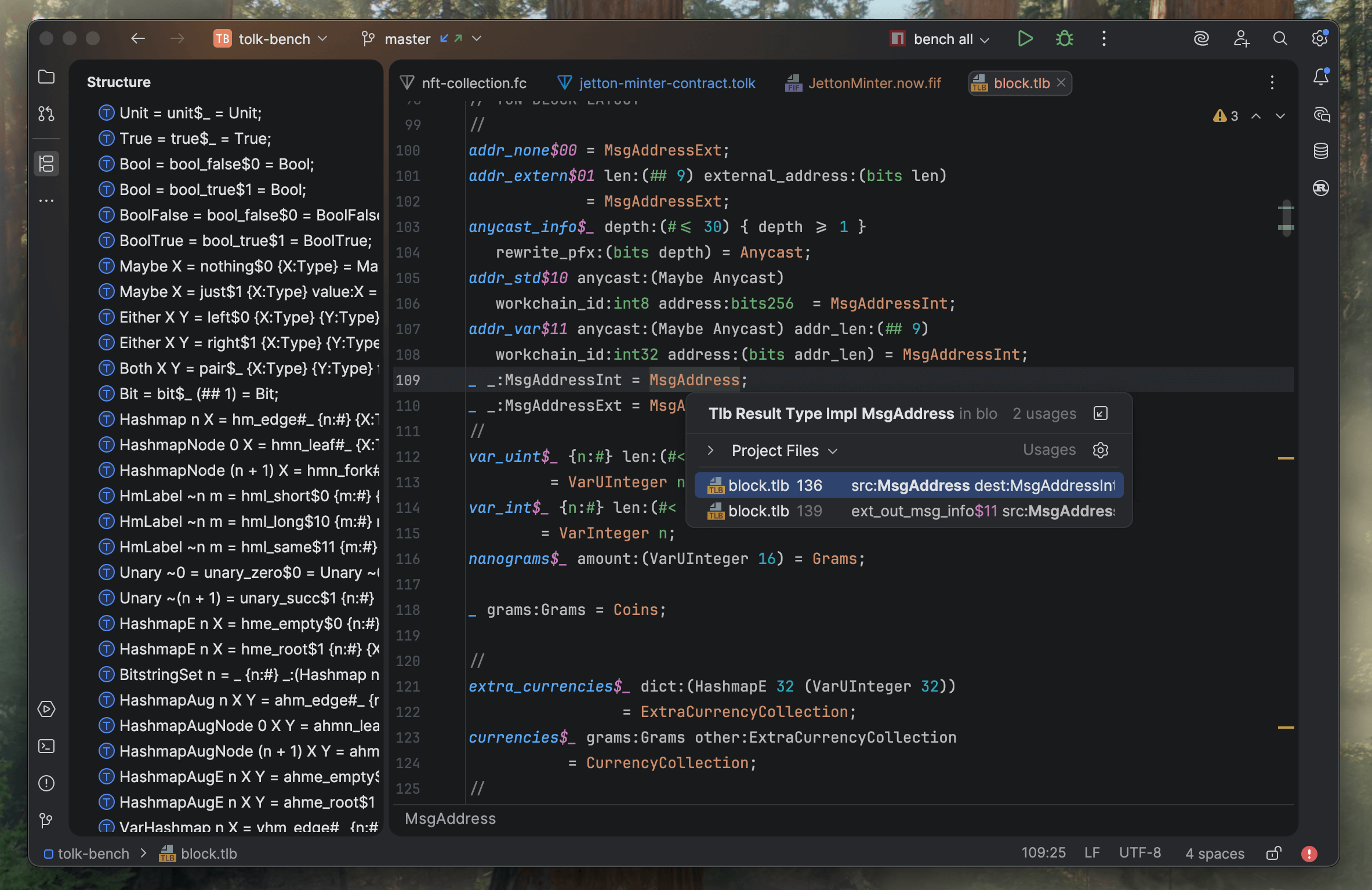 Screenshot of the TL-B data scheme language support
