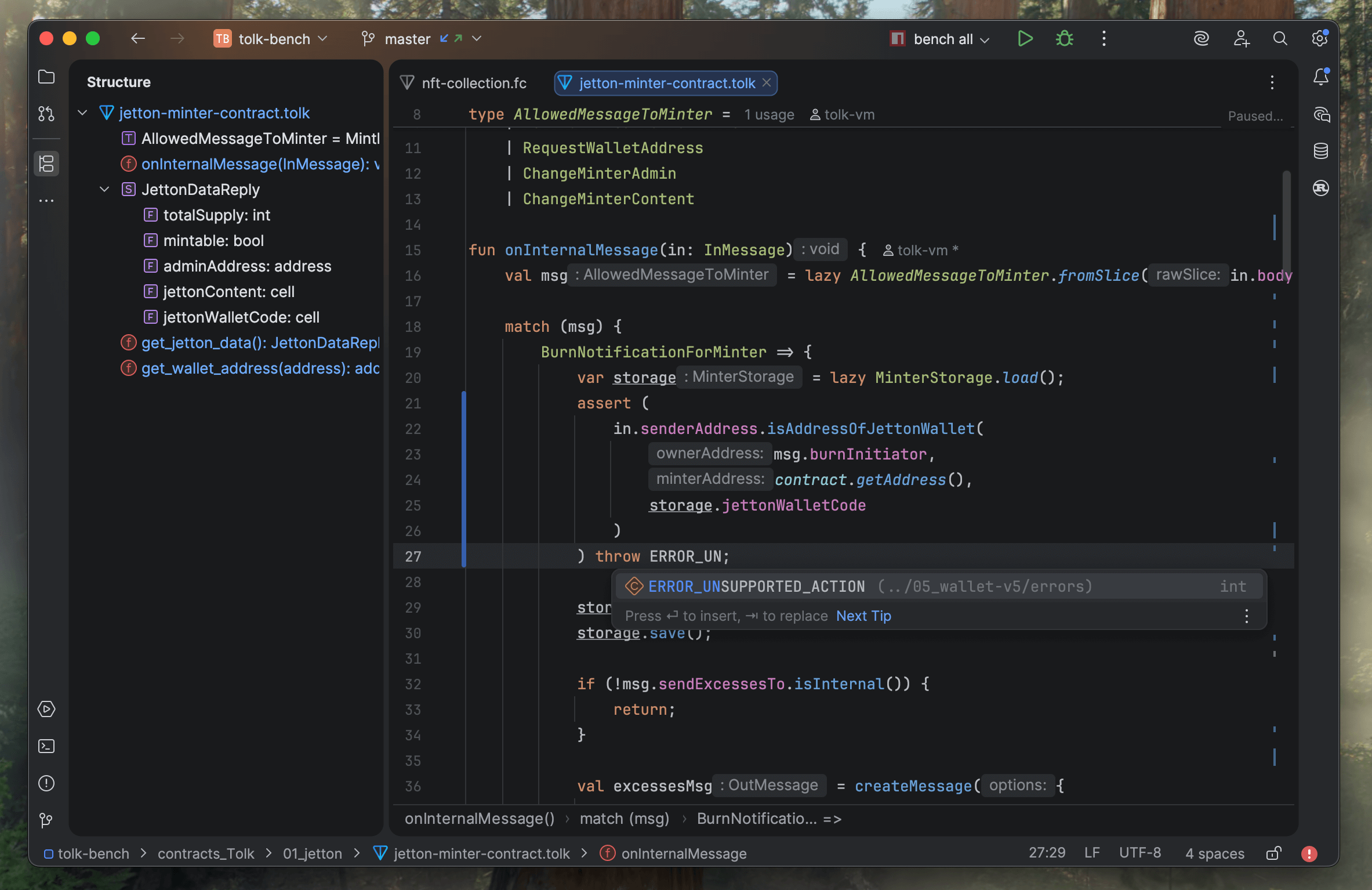 Screenshot of the Tolk language support