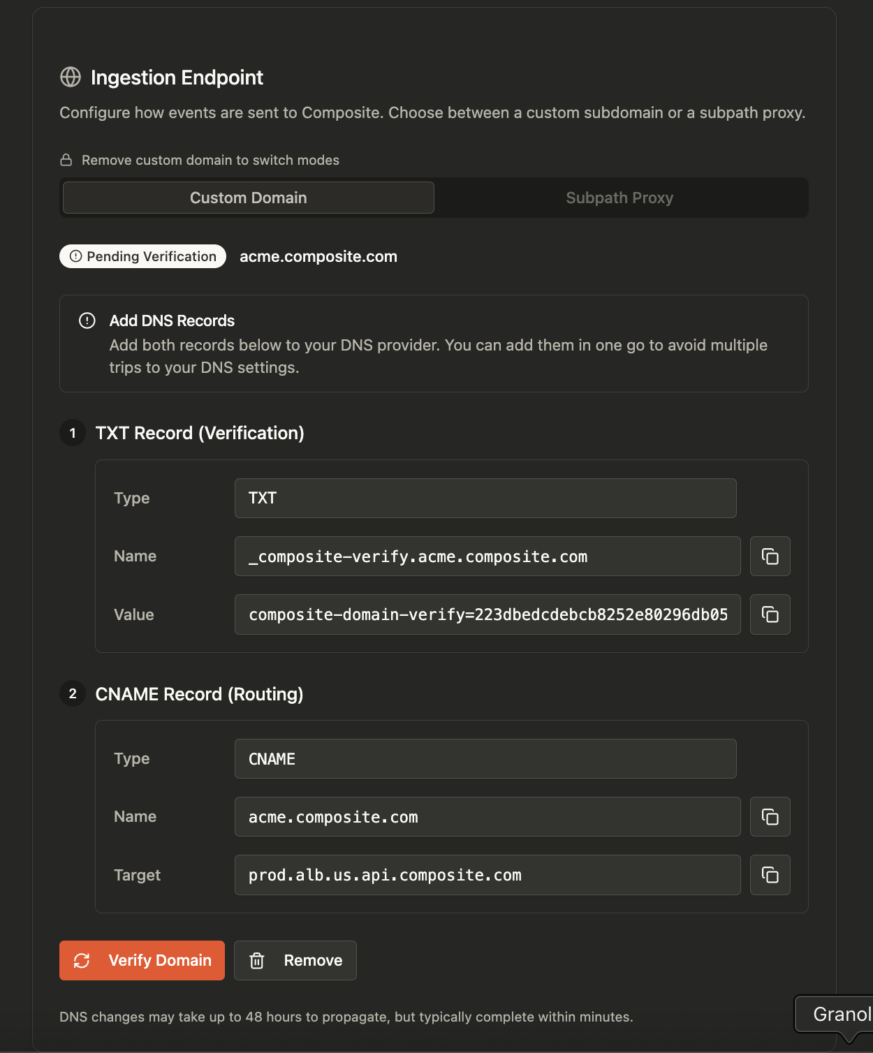 DNS records for custom domain verification