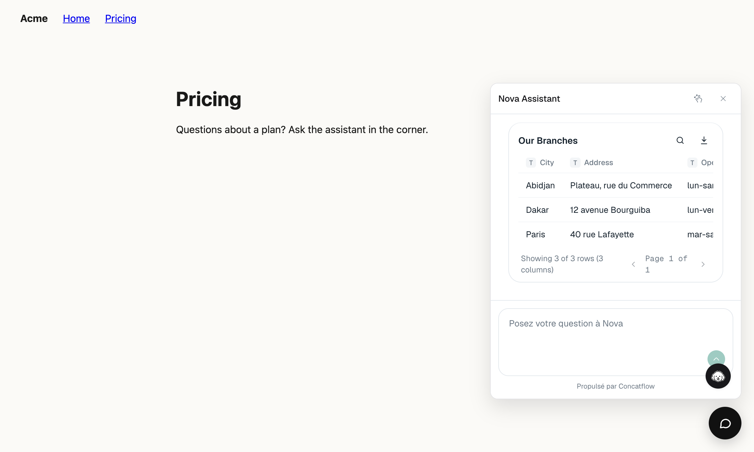 The pricing page with the chat panel open, showing a table of branches