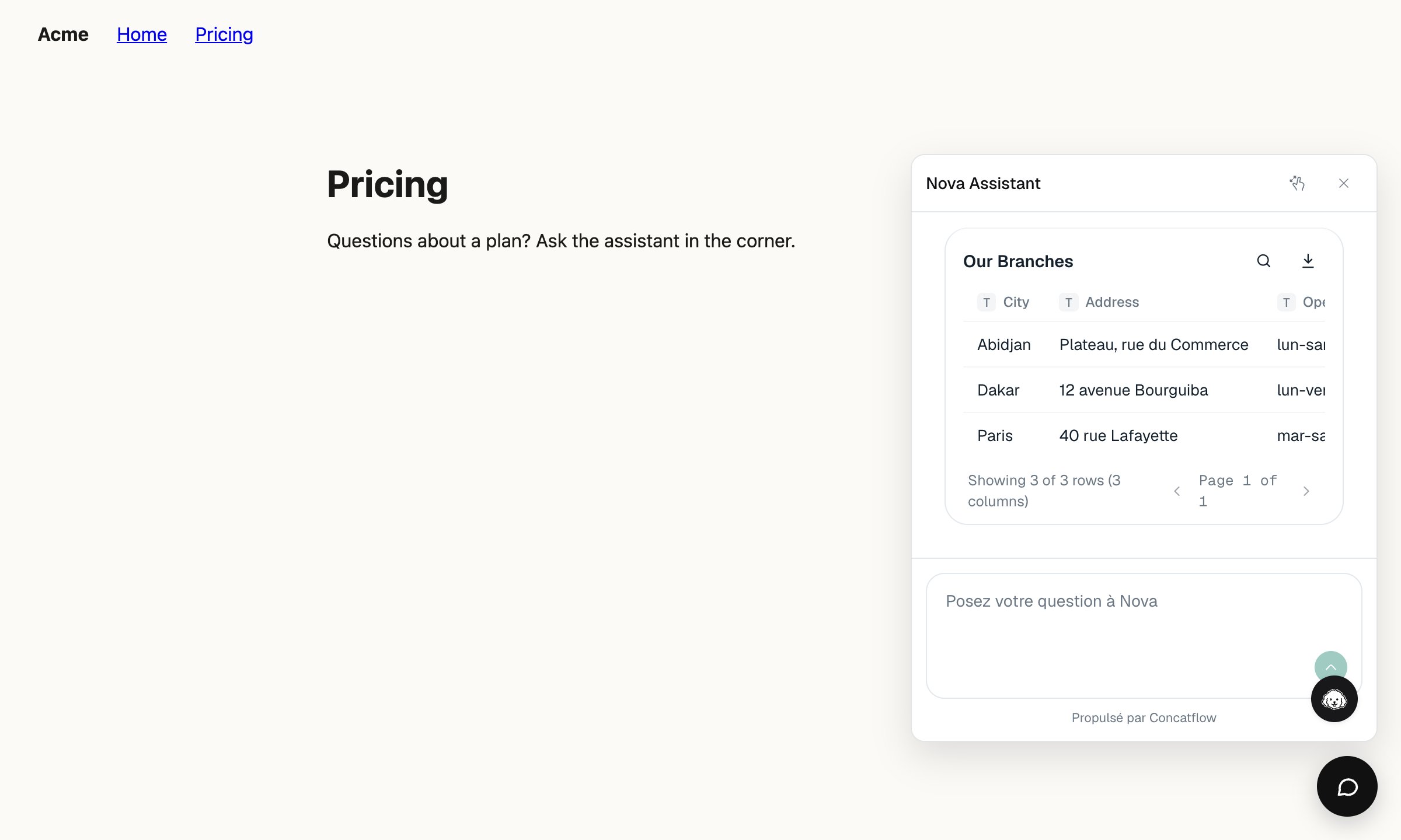 The pricing page with the chat panel open, showing a table of branches