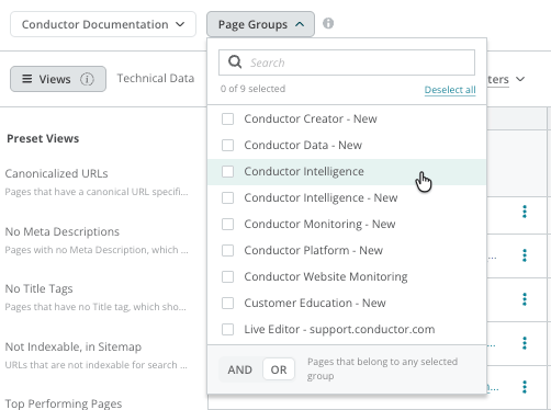 2025 Pages Reporting Alpha Program Pages Groups Menu