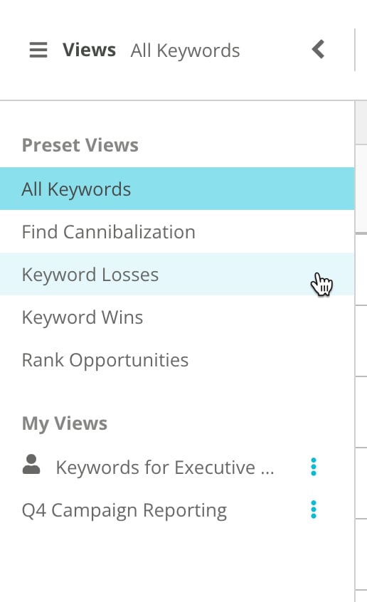 Keywrods Preset Views.png