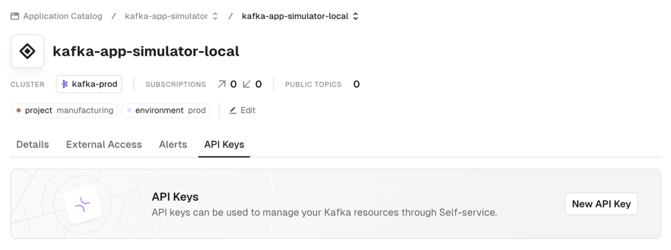 Create Application Instance API key