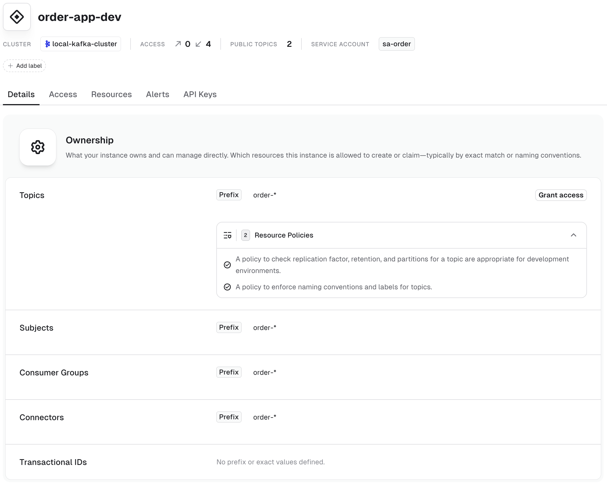 Application instance details