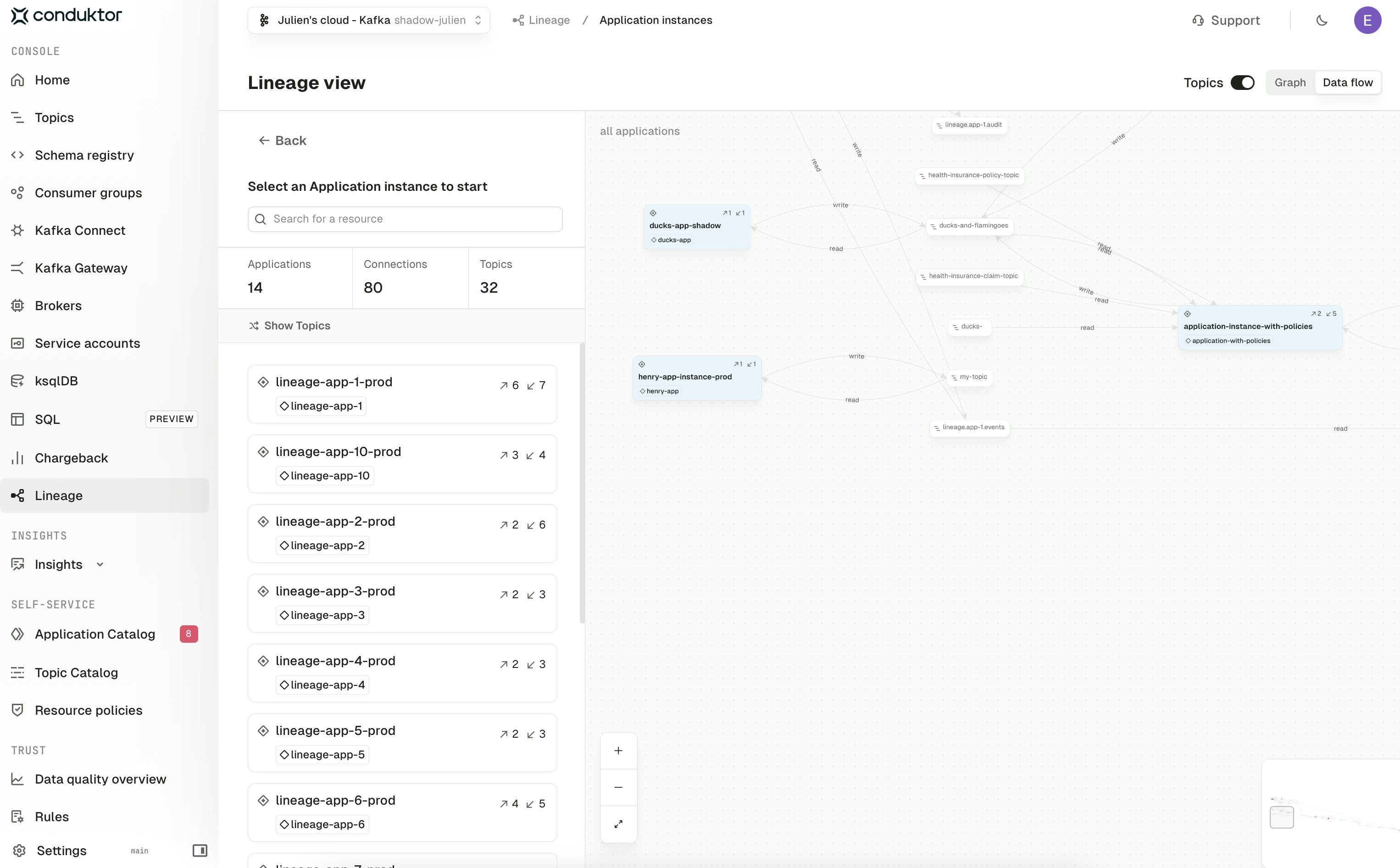 Application instance data flow view