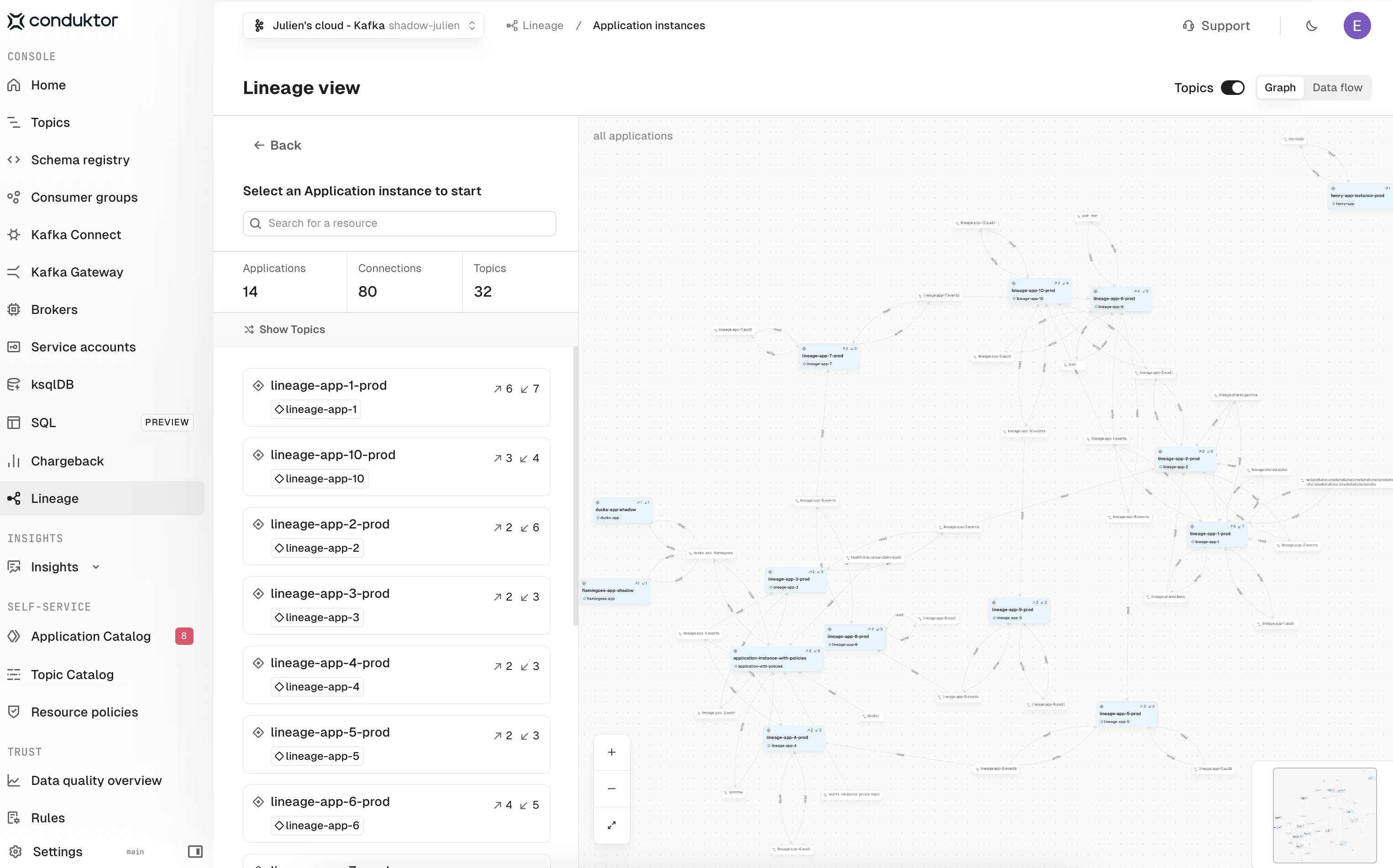 Application instance graph view