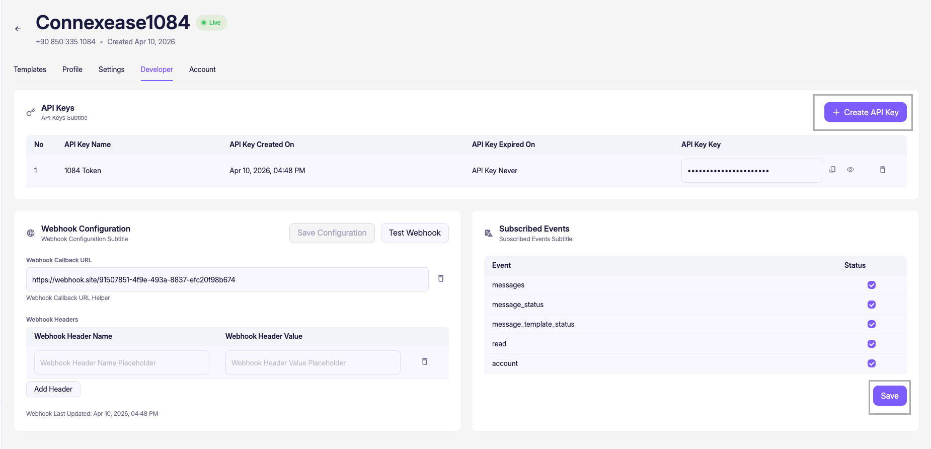 Developer Tab