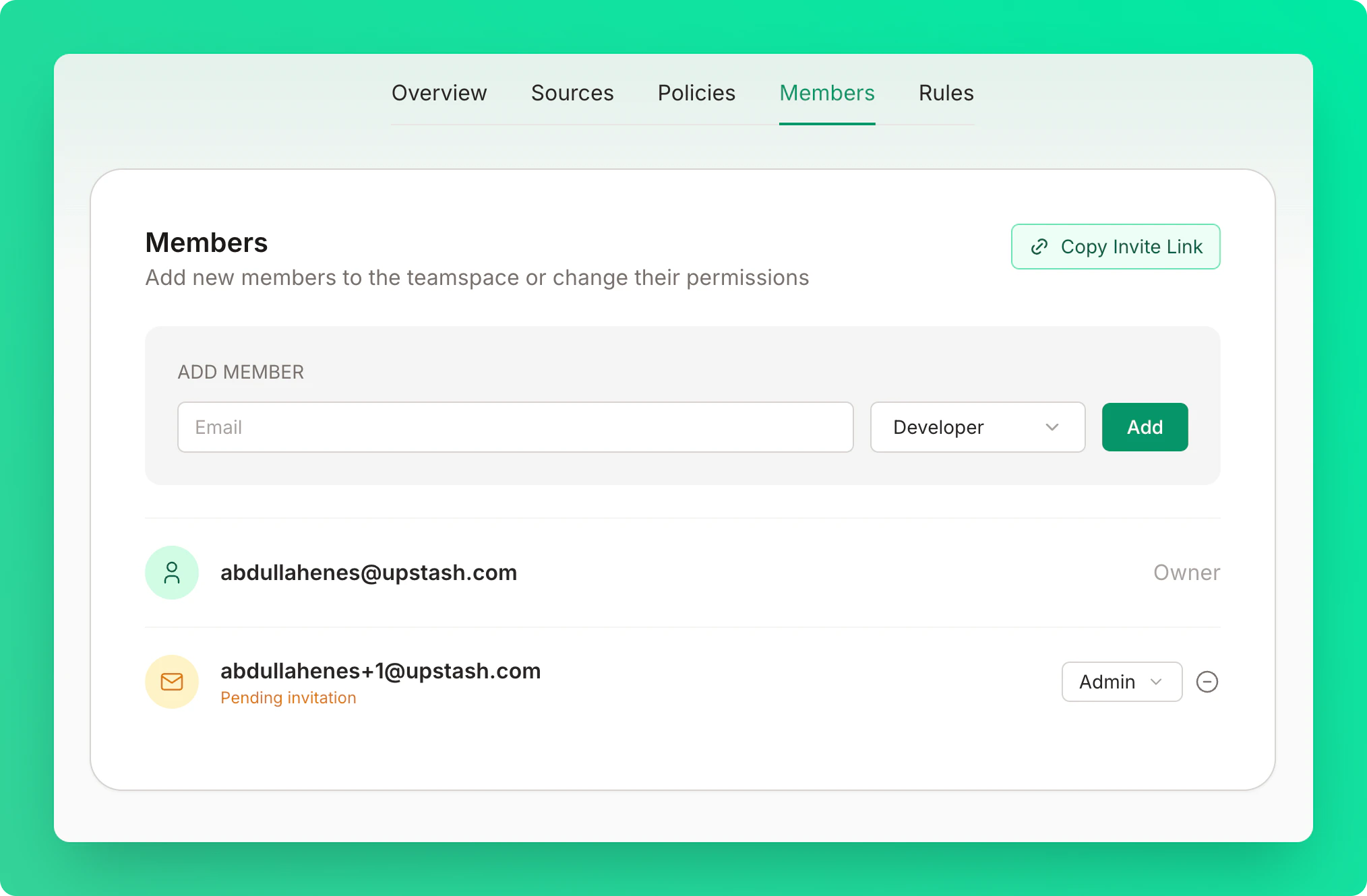 Members tab displaying team members list with owner, admins, and developers