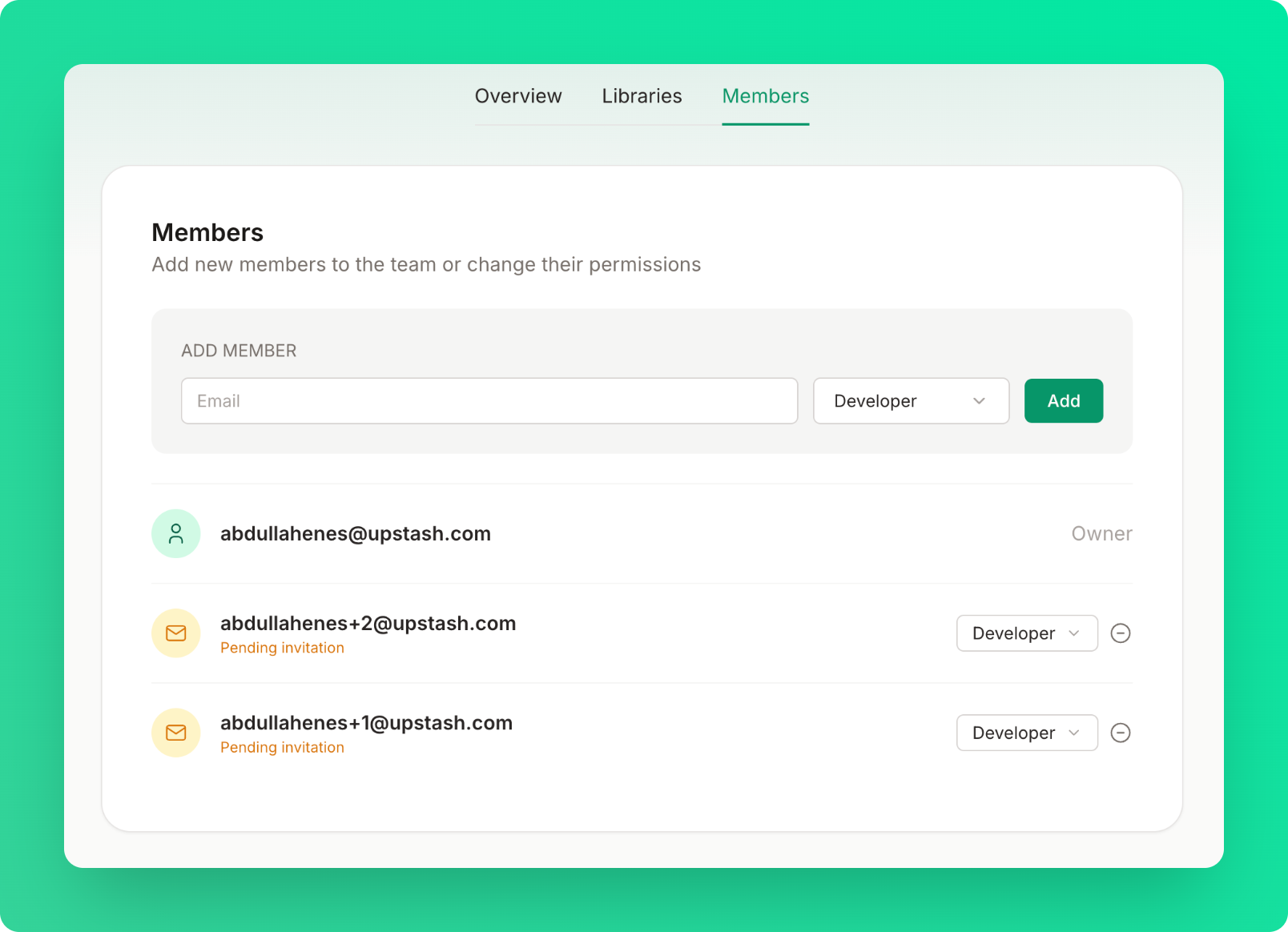 Members tab displaying team members list with owner, admins, and developers