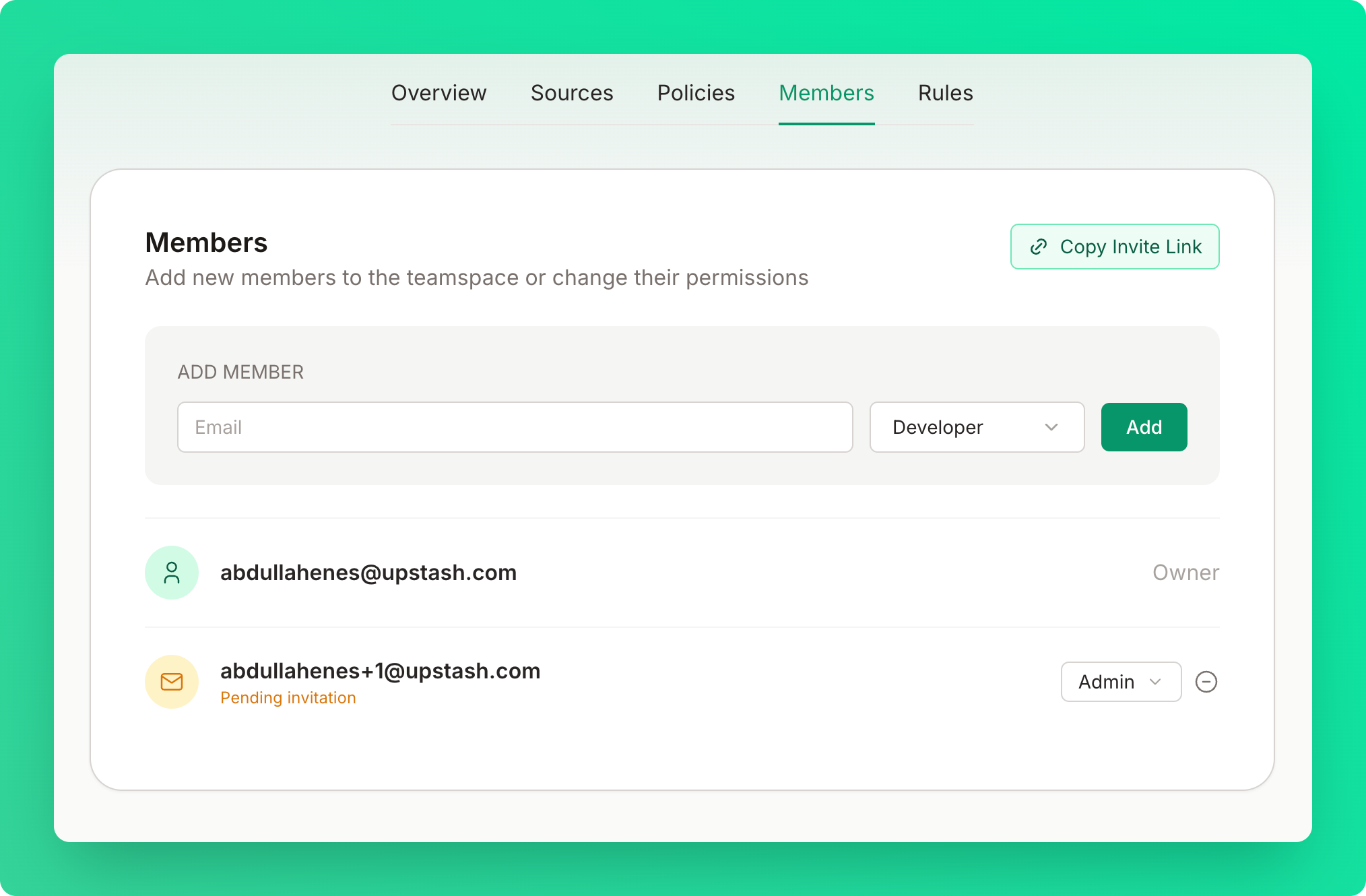 Members tab displaying team members list with owner, admins, and developers