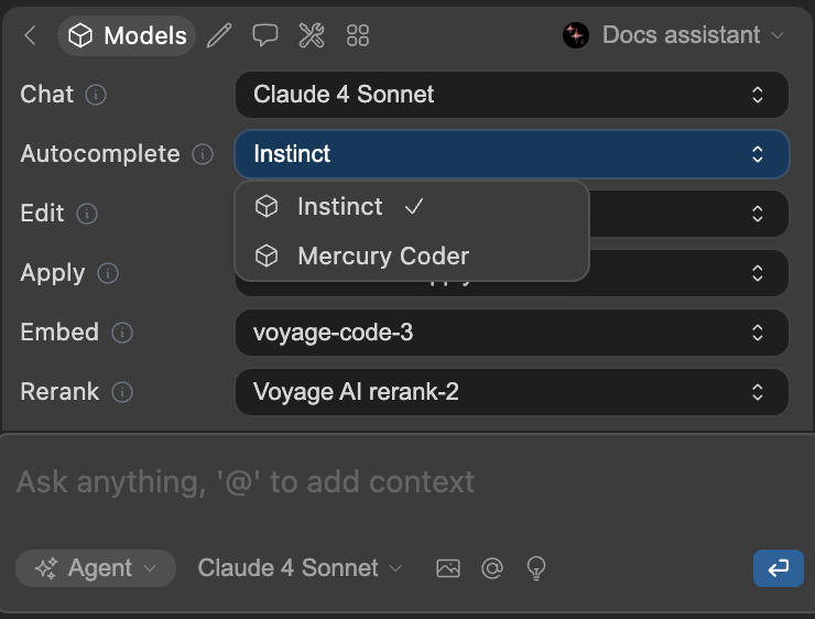 Next Edit Model Setup