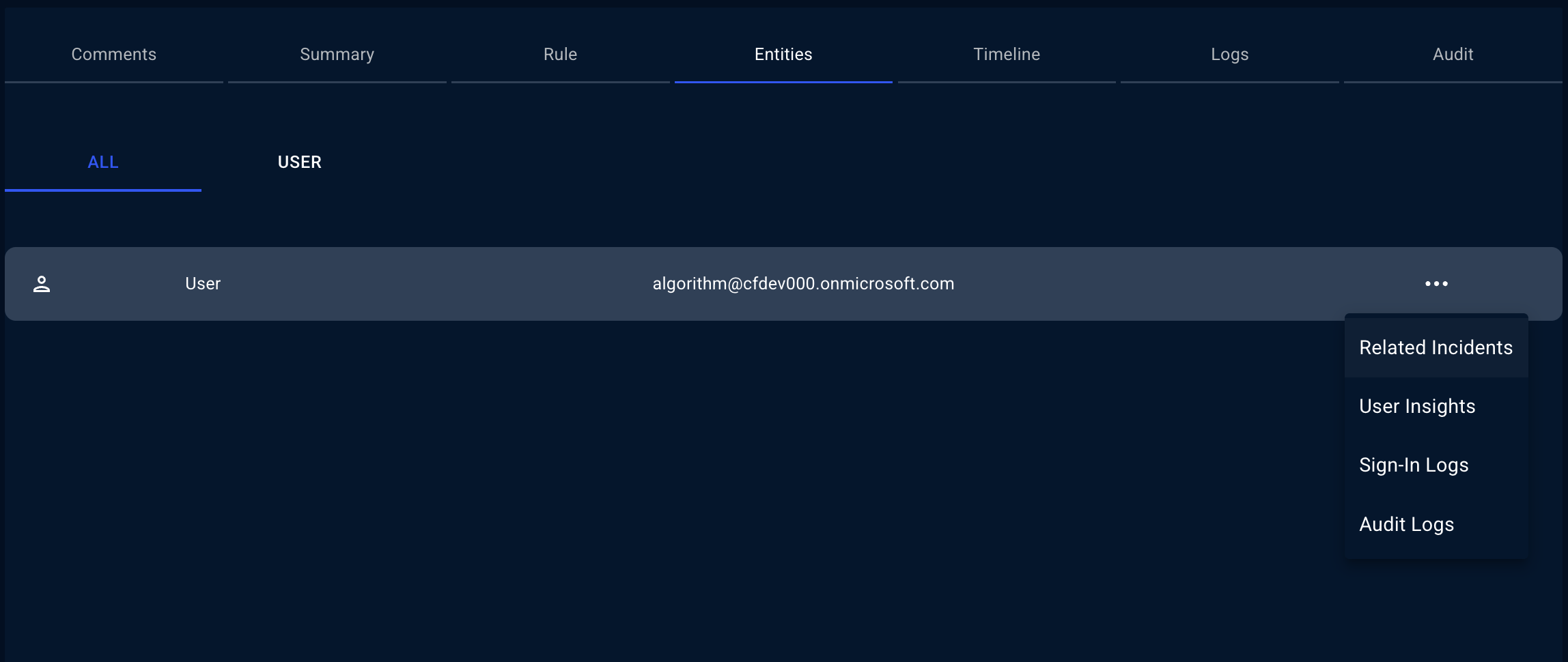 Entity insights menu for a user