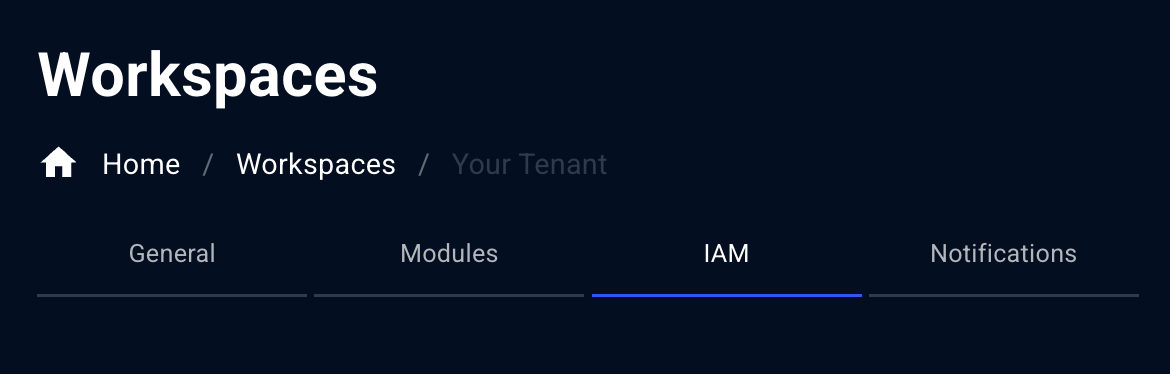 Workspace-Settings-IAM