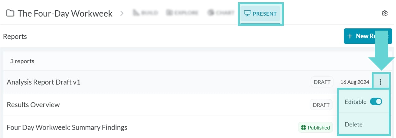 Present Menu screenshot: Add a New Report