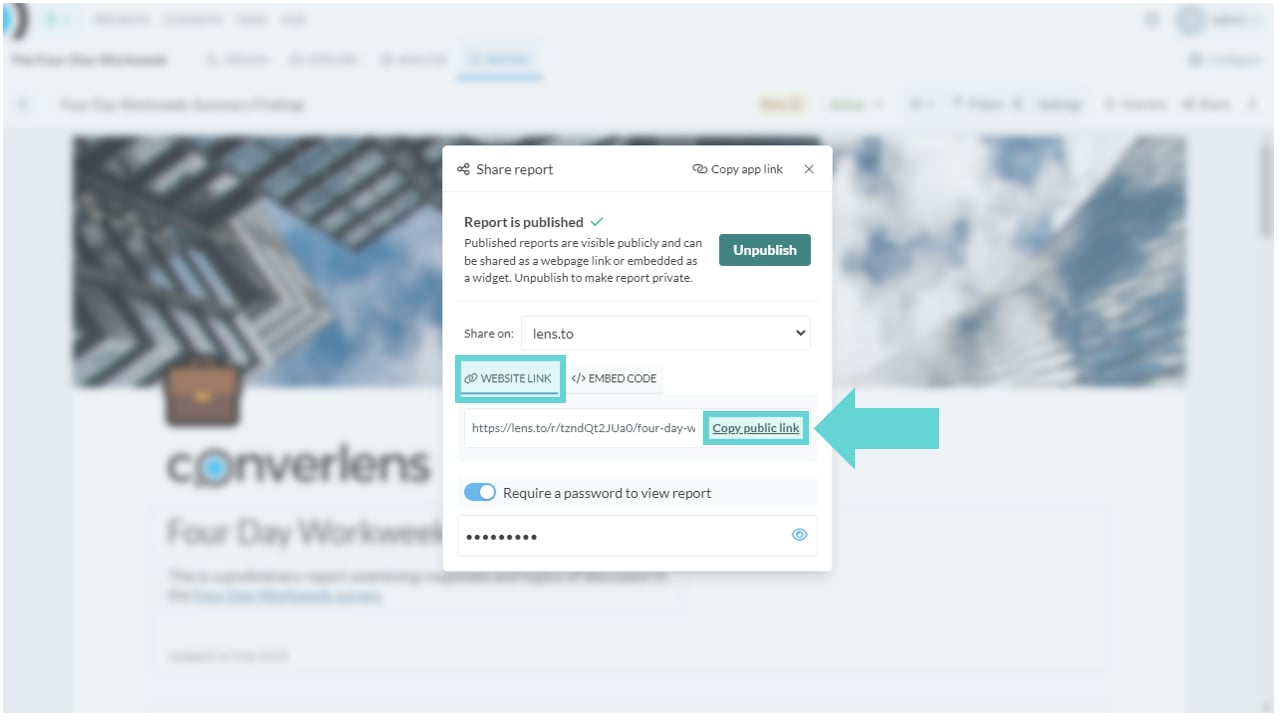Sharing and Publishing Reports screenshot: Website link (Share your report publicly)