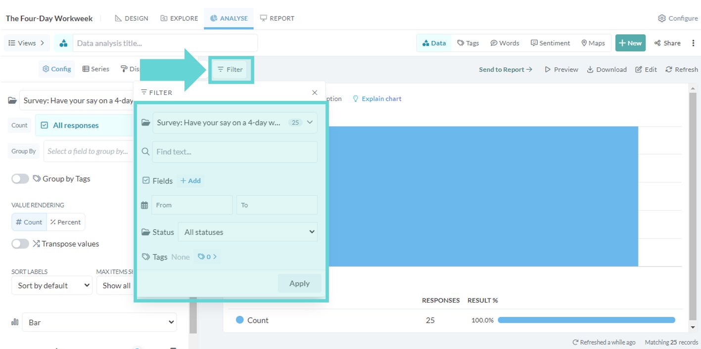 Filter panel options screenshot: To access the filter panel options, click the filter button on the left hand side of the stage window. A floating menu will appear with filter options