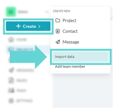 Data Importer screenshot: Import Data into a Project