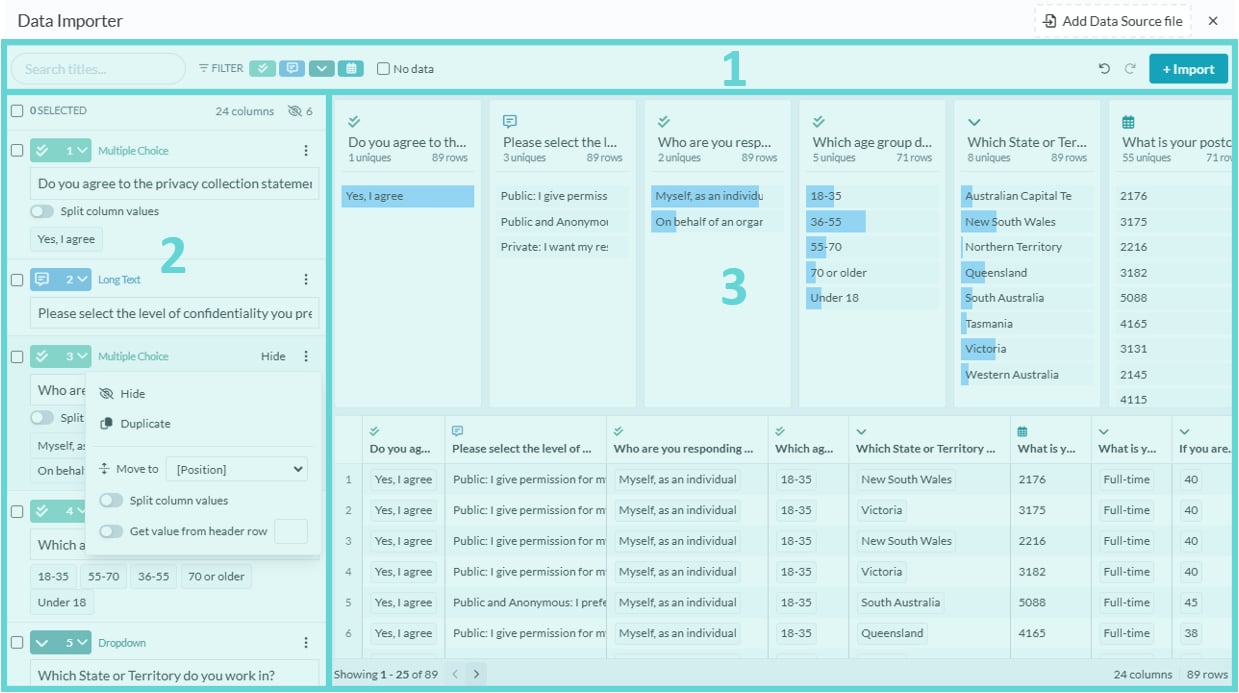 Data Importer screenshot: Import Data into a Project