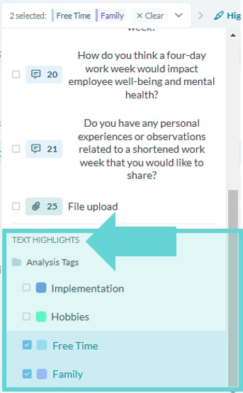 Highlight (Auto-Code) screenshot: From All Responses