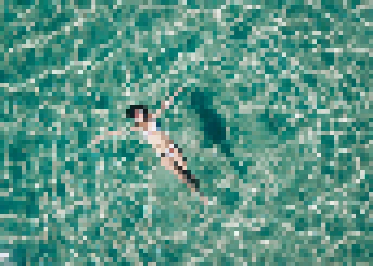 Pixelated image