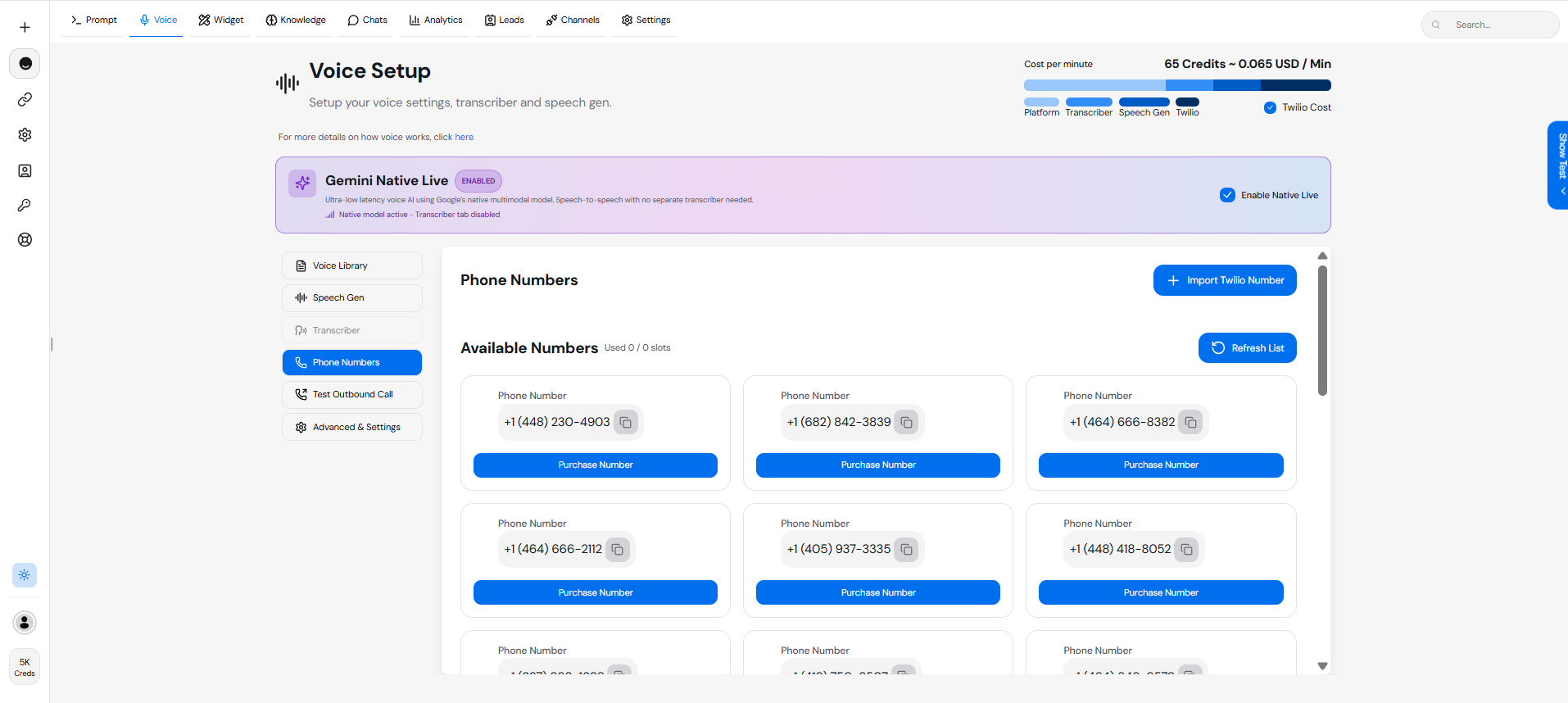 Voice Setup Page