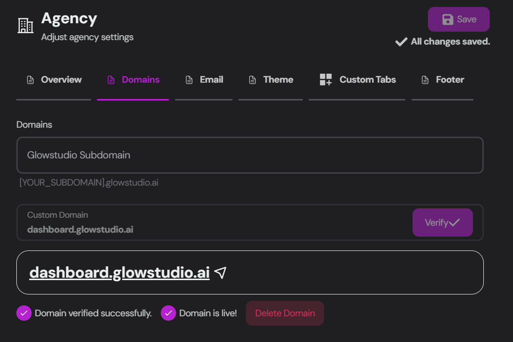 Custom Domain Setup Interface