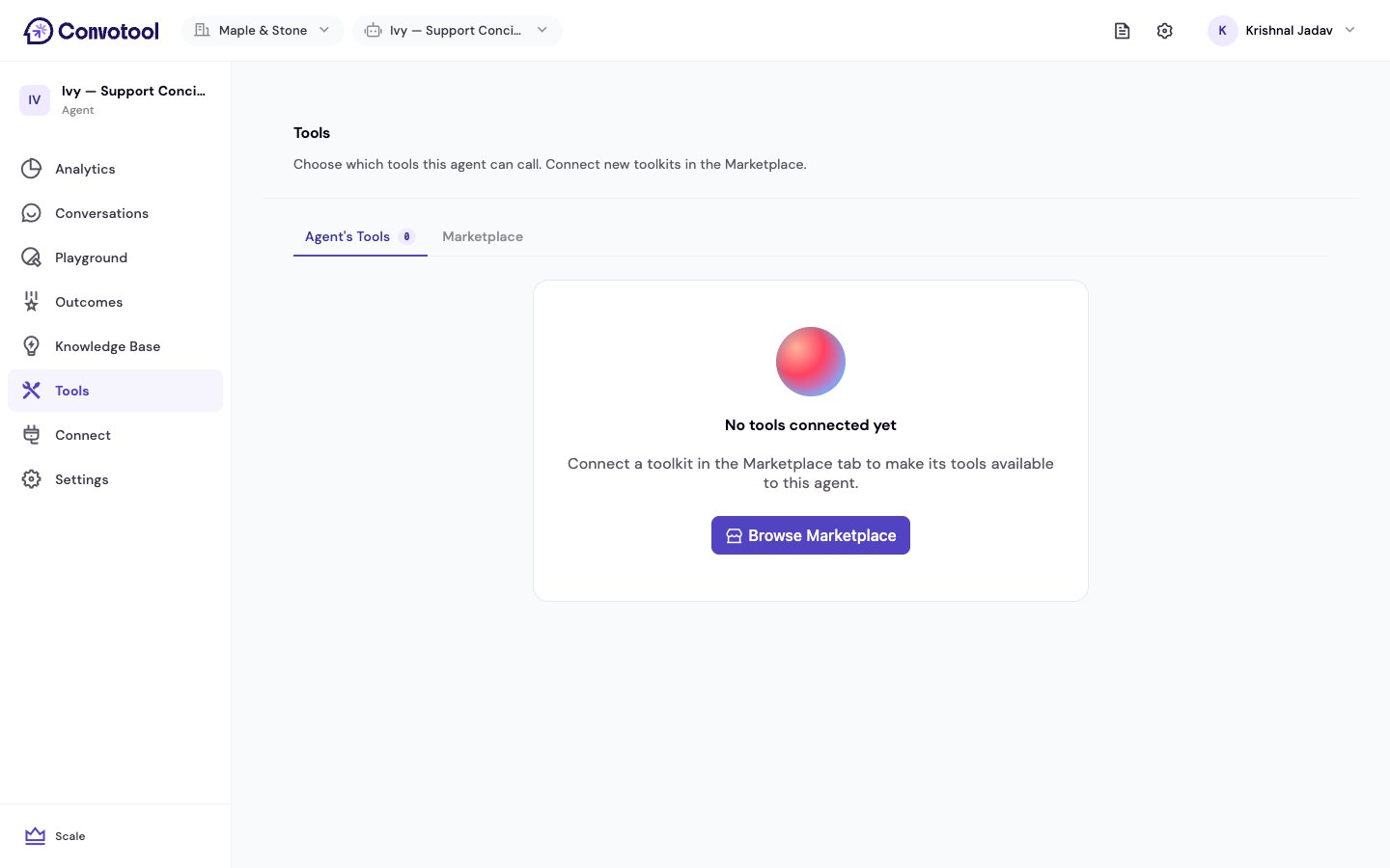 The Agent's Tools tab for enabling tools per agent