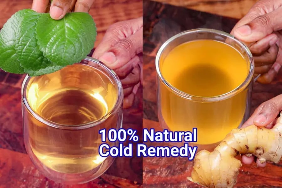 ajwain-leaves-benefits-uses