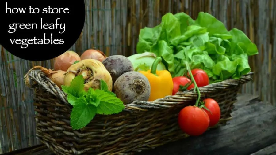 store-green-leafy-vegetables-benefits