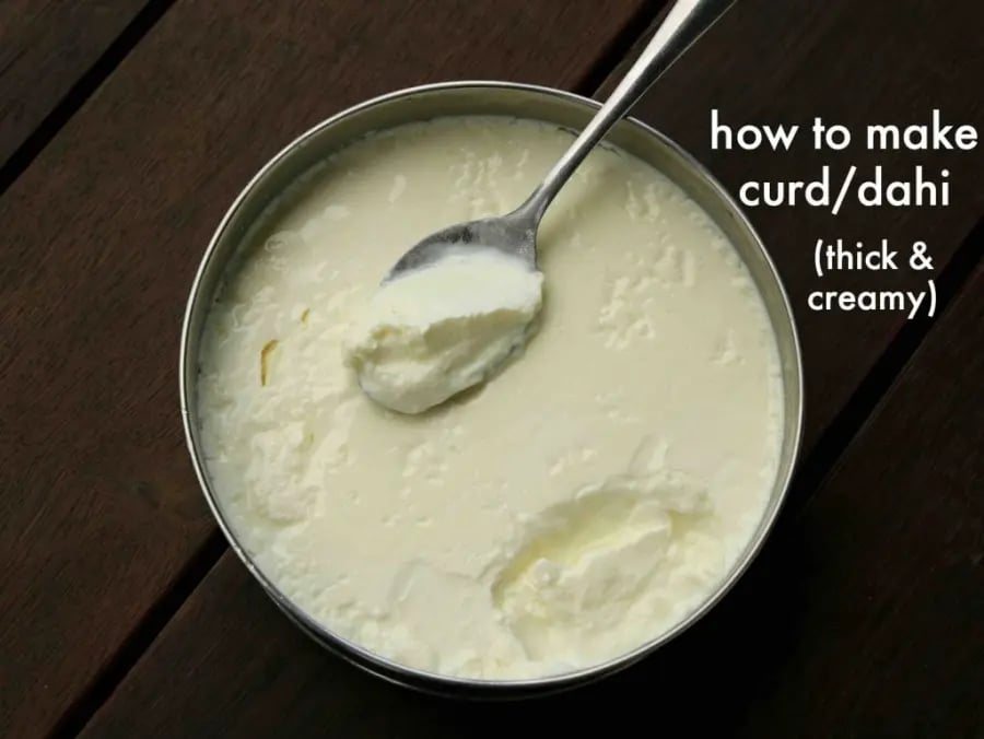 homemade-thick-curd-dahi-recipe