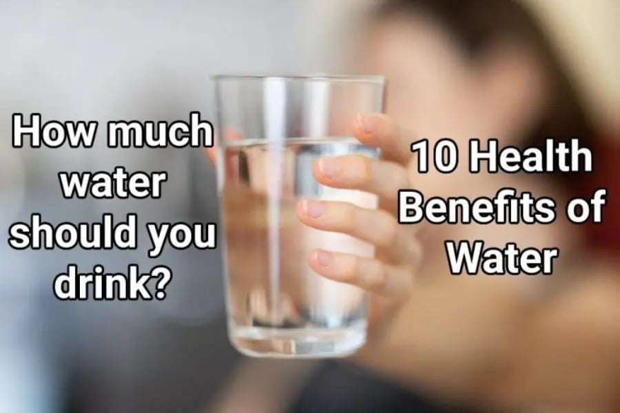 how-much-water-should-you-drink