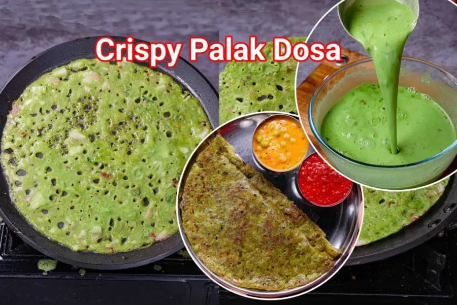 instant-crispy-spinach-palak-dosa-recipe
