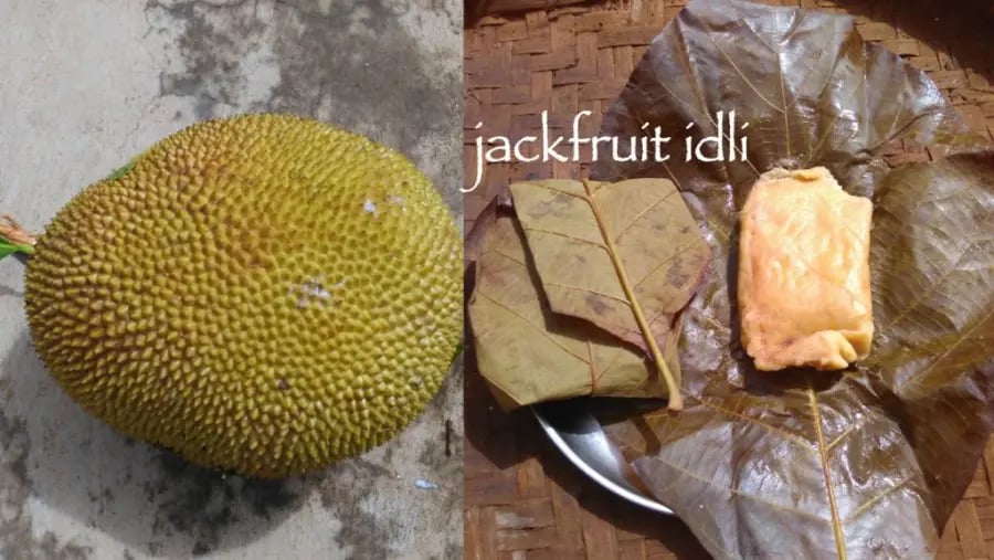 jackfruit-idli-recipe-halasina-hannina-kadubu-gattigidde-ponsa-muddo