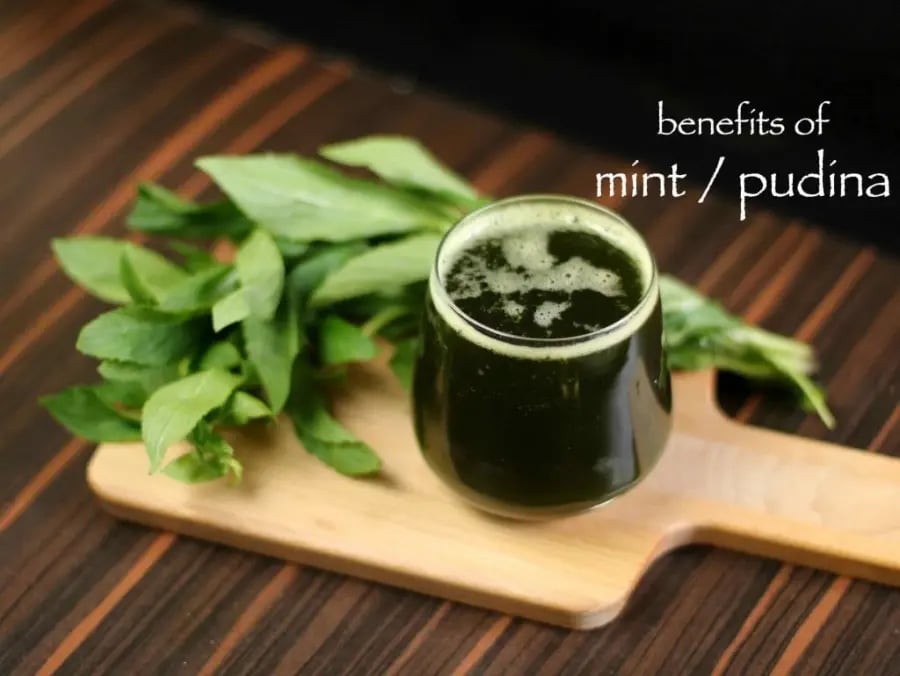top-6-benefits-mint-leaf-pudina