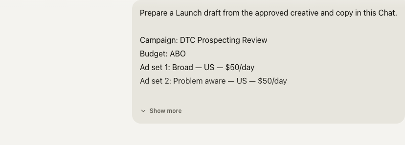 Chat request for a DTC Prospecting Review campaign with two 50-dollar daily ad sets and an instruction to stop before publishing