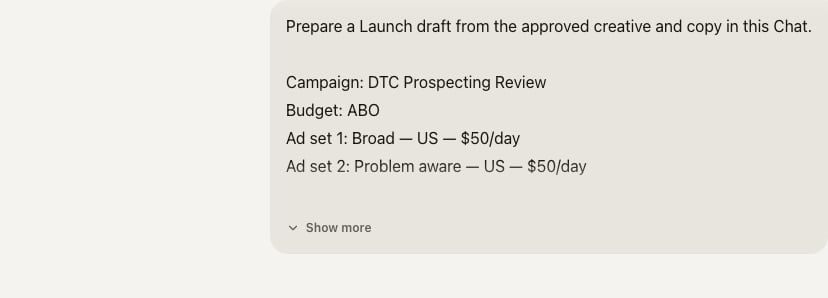 Chat request for a DTC Prospecting Review campaign with two 50-dollar daily ad sets and an instruction to stop before publishing