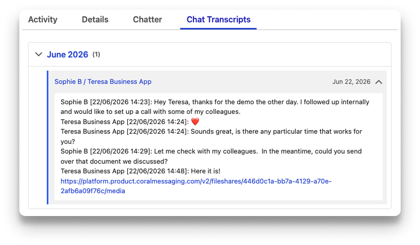 Exemplo de transcrição do Salesforce
