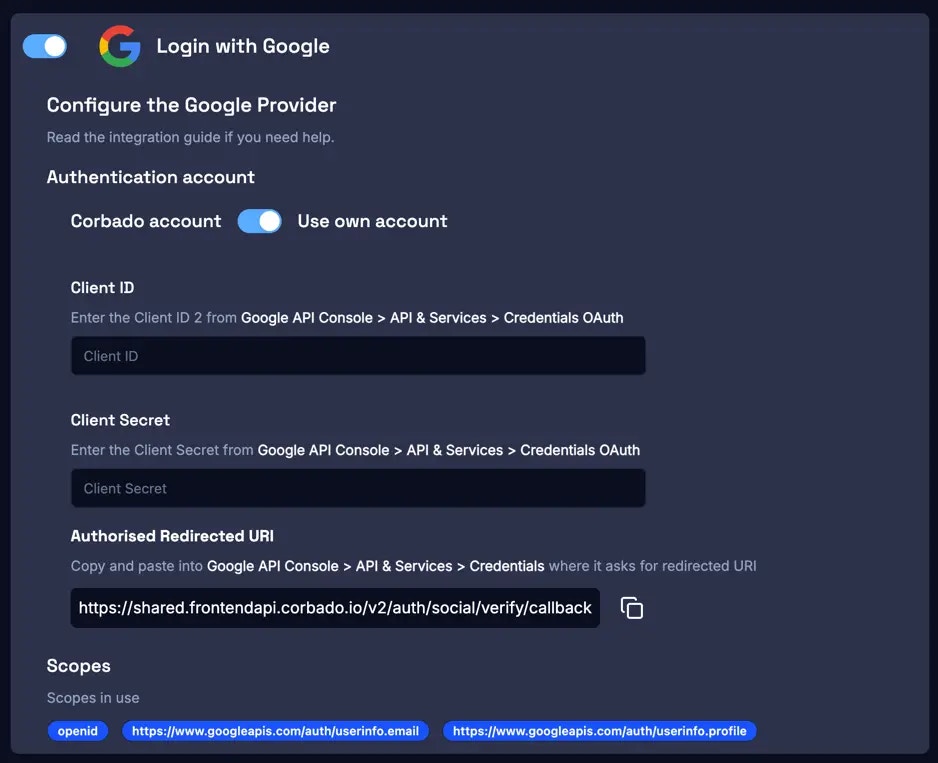 Developer Panel Google