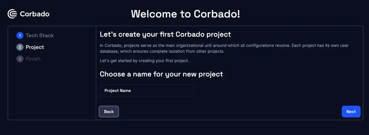Developer panel project name