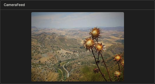 An image component rendering a picture whose URL was published to a camera snapshot topic