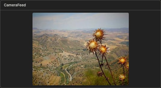 An image component rendering a picture whose URL was published to a camera snapshot topic