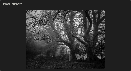 An image component on a dashboard panel rendering a remote picture