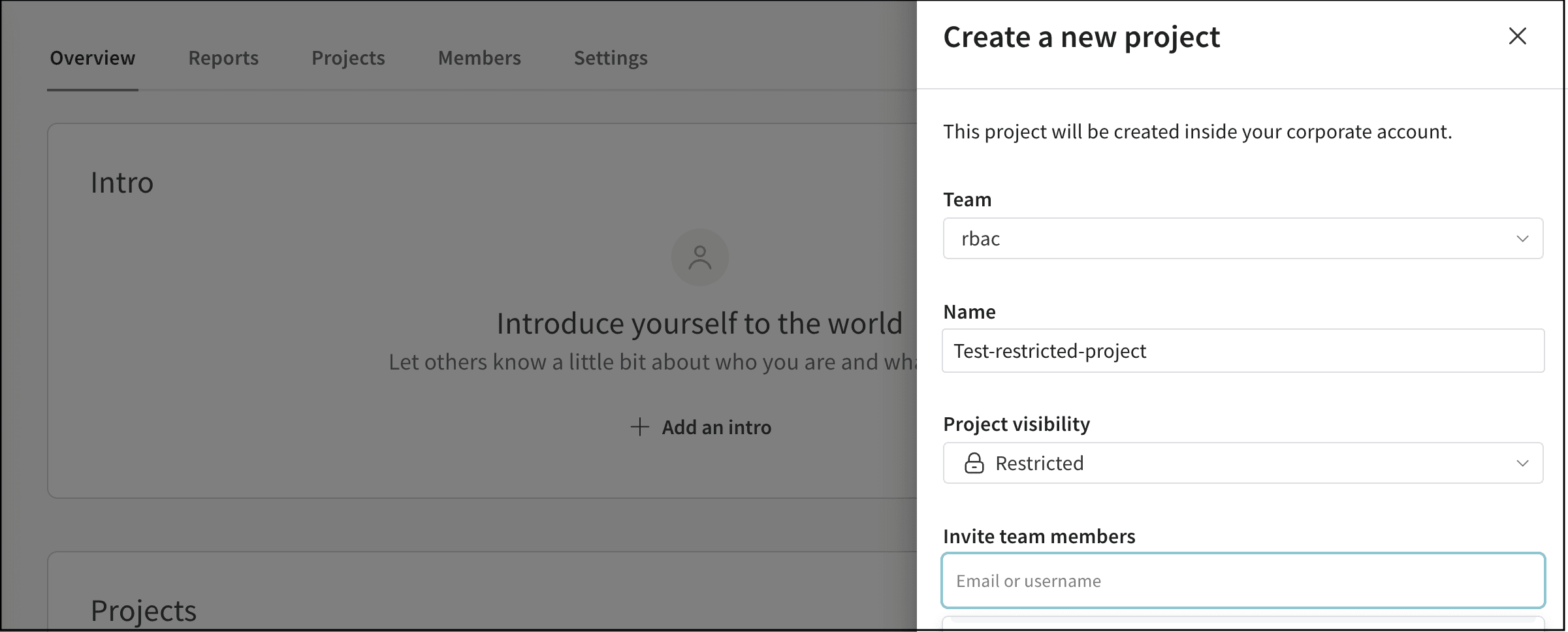 Restricted project configuration