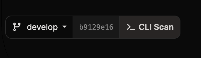Encabezado de detalles del escaneo con insignia CLI Scan