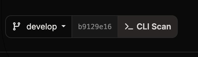 Encabezado de detalles del escaneo con insignia CLI Scan