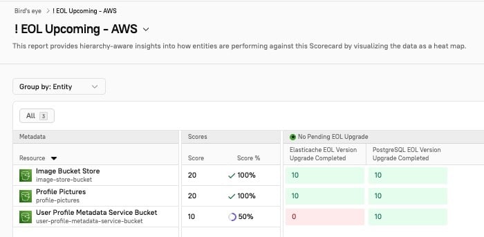 The Birds Eye report shows a heat map of entity progress for a Scorecard.