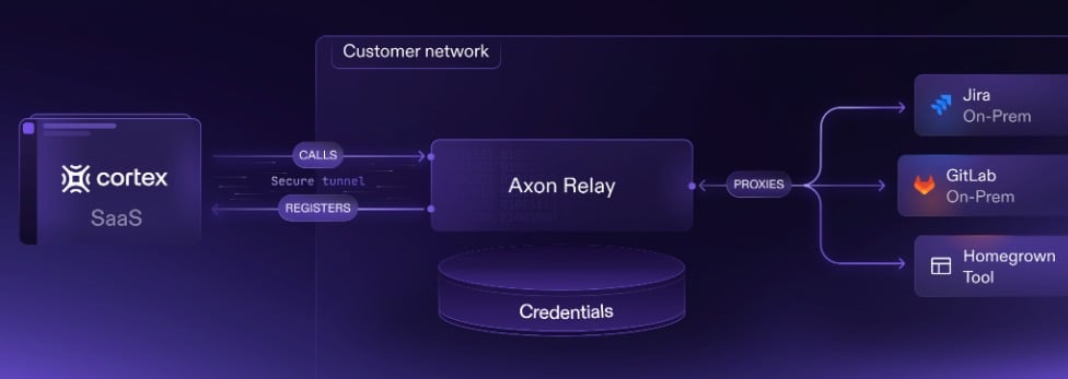 Network diagram showing how Cortex Axon works.